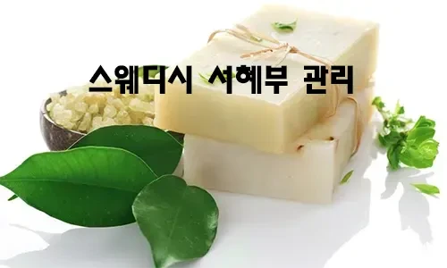 스웨디시_서혜부_관리.webp