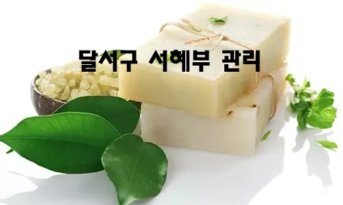 달서구_서혜부_관리.webp