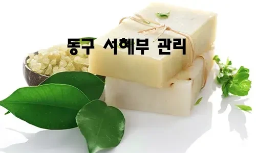 동구_서혜부_관리.webp