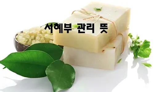 서혜부_관리_뜻.webp