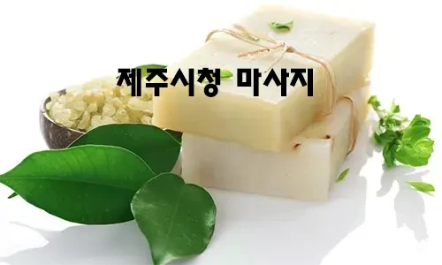 제주시청_마사지.webp