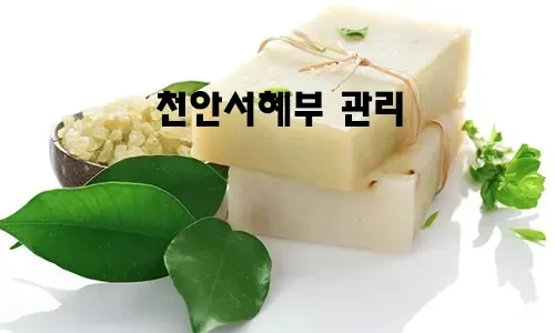 천안서혜부_관리.webp