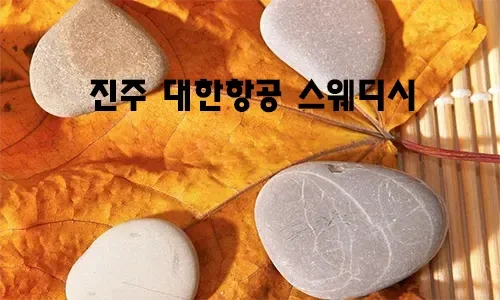 진주_대한항공_스웨디시.webp