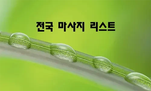 전국_마사지_리스트.webp