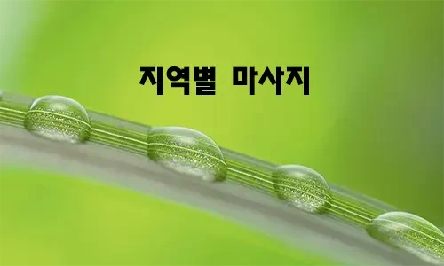 지역별_마사지.webp