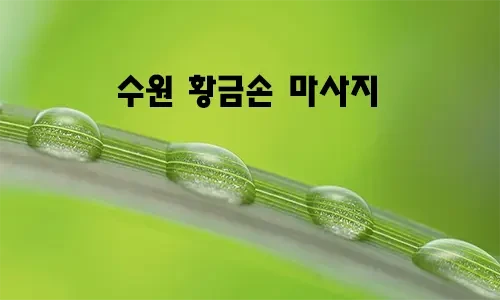 수원_황금손_마사지.webp