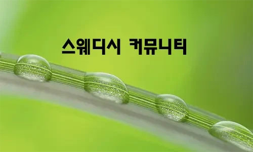 스웨디시_커뮤니티.webp