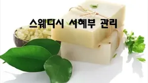 스웨디시_서혜부_관리.webp