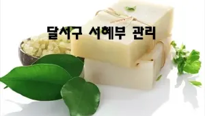 달서구_서혜부_관리.webp