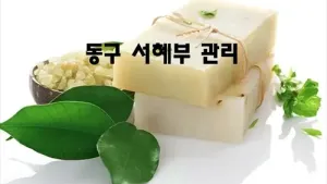 동구_서혜부_관리.webp