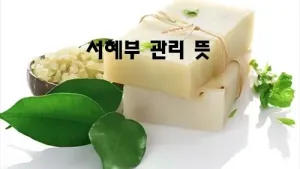 서혜부_관리_뜻.webp