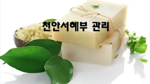 천안서혜부_관리.webp