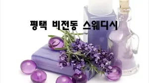 평택_비전동_스웨디시.webp