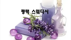 평택_스웨디시.webp