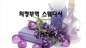 의정부역_스웨디시.webp