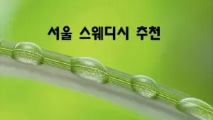 서울_스웨디시_추천.webp