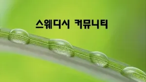 스웨디시_커뮤니티.webp