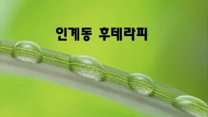 인계동_후테라피.webp