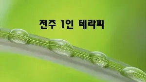 전주_1인_테라피.webp