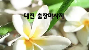 대전_출장마사지.webp