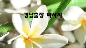 경남_출장마사지.webp