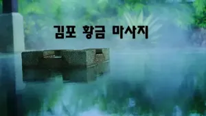 김포_황금_마사지.webp