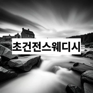 초건전스웨디시.webp