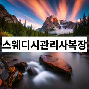 스웨디시관리사복장.webp