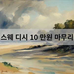 스웨 디시 10 만원 마무리.webp