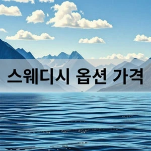 스웨디시 옵션 가격.webp