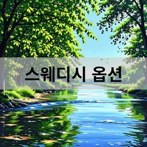 스웨디시 옵션.webp