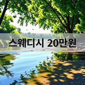 스웨디시 20만원.webp