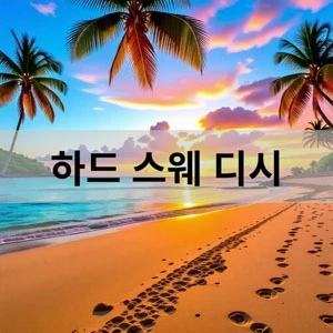 하드 스웨 디시.webp