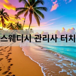 스웨디시 관리사 터치.webp