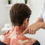 마사지의 과학 – 피로가 풀리는 진짜 원리 마사지의 과학 – 피로가 풀리는 진짜 원리